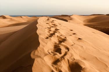 maspalomas