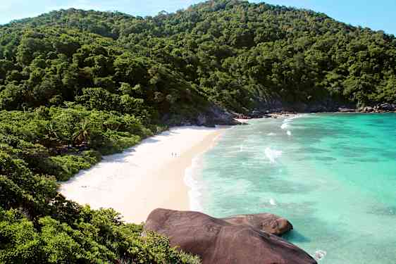 Amazing beach with greens and mountains