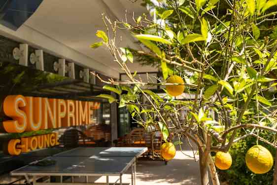 Sunprime C-lounge Alanya, Turkey, seen from outside