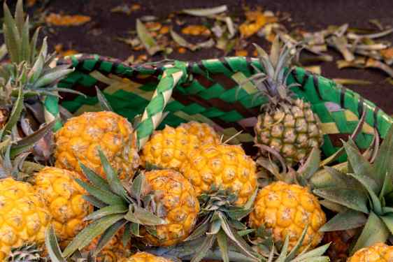 Pinapples