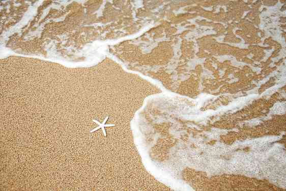 Beach with umbrallas