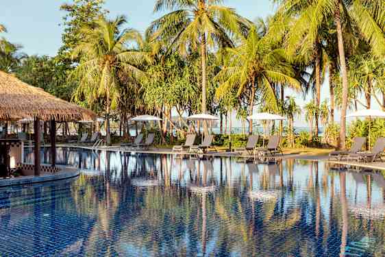 Poolarea and palmtrees