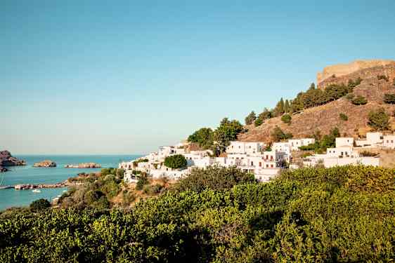 White hoses and greenery by the sea