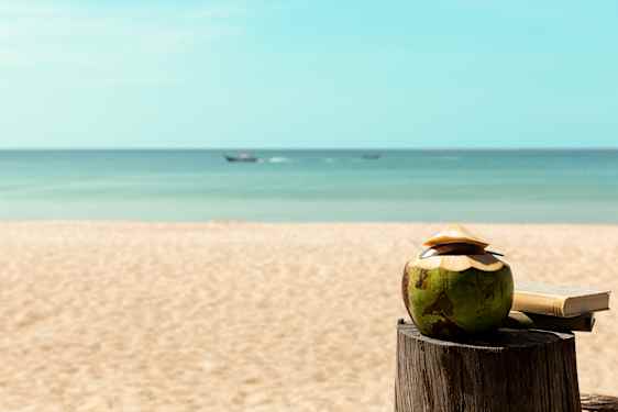 Beach with a coconut and book on a stump