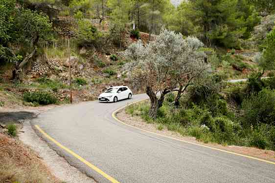 A white car driving along a road lined with greenery