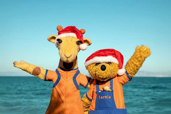 Lollo & Bernie in santa hats