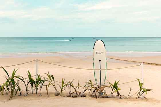 Beach and surf borad