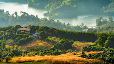 Chiang Rai